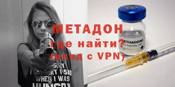 шишки Арсеньев