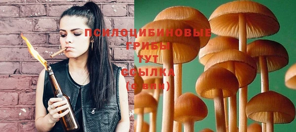 не бодяженный Армянск