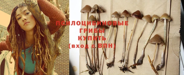 соль курить ск Алзамай