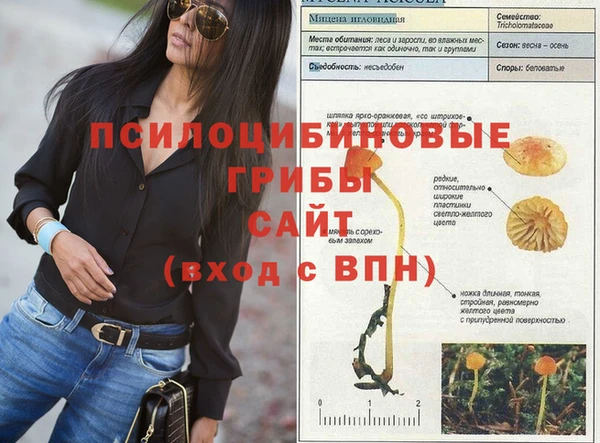 трава Аркадак