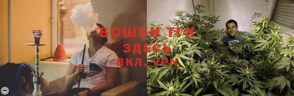 прущие грибы Алексеевка