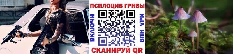 Галлюциногенные грибы Psilocybe  KRAKEN ссылки  Тавда  купить наркотик 